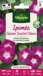Fleurs - Ipomée Géante Scarlett O'Hara - PACKAGING_RECTO